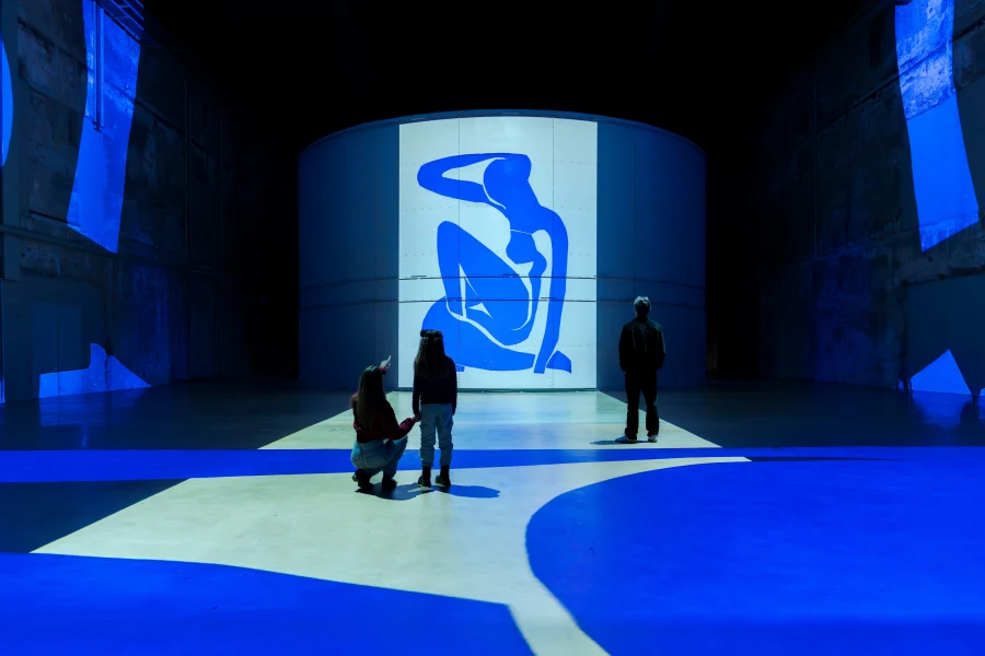 REISE DURCH MATISSES KUNST